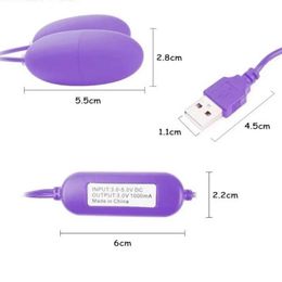 Oeufs télécommande vibrat jouets balles masturbateur Clitoris oeuf chargeur USB 12 vitesses balle de Massage pour femme sous-vêtement 1124