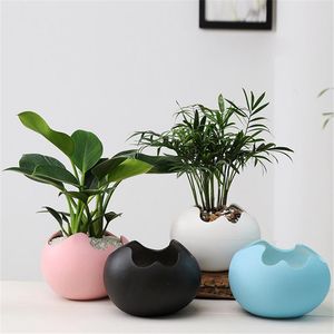 Eggshell-vorm bloempot keramische succulente planten pot container creatieve plantenbons bonsai potten tuin thuis desktop decoratie