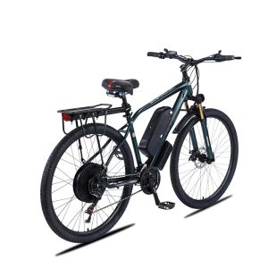 Vélo électrique 1000W 48V deux roues vélos électriques 29 pouces 21 vitesses puissant vélo de montagne électrique vitesse maximale 45 KM/H