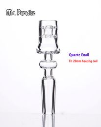 Electric Diamond Knot Quartz DOMELESS ENail Fabriqué par quartz de haute qualité ajustement pour 10m 10f 14m 14f 19m 19F JOINT1901927