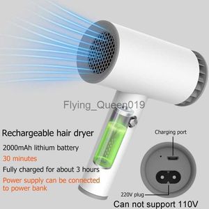 Sèche-cheveux électrique universel AC 220V USB rechargeable vent chaud et froid coup de voyage pour peinture artistique maison extérieure plus HKD230903