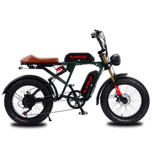 Electric Mountain Bike 750W 48V Retro Electric Bicycle For Adults 20 Inch Fat Tire Off-Road ebike 45KM/H e bike Beach Bicycle
