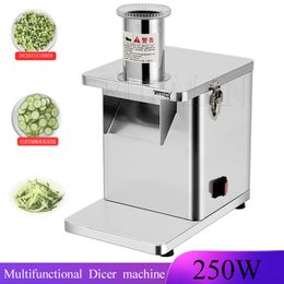 Elektrische multifunctionele groentesnijder Snijmachine Citroen Aardappel Commerciële blokjessnijmachine Shredde keukenmachine