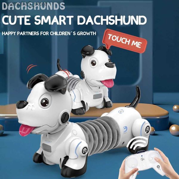 Animaux électriques/RC enfants Robot jouet télécommande chien Intelligent programmable 2.4G sans fil enfants jouet Intelligent parlant Robot chien électronique animal de compagnie enfant Q231114