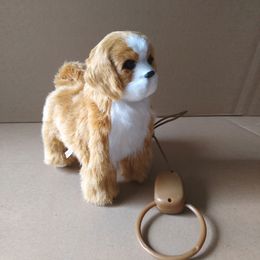 Eléctrico / RC Animales Perro de peluche electrónico Juguete Robot Gato Cantar Canción Cachorro Correa Control Música Animal Caminar Ladrar Gatito eléctrico Mascota Niños Regalo de cumpleaños 230512