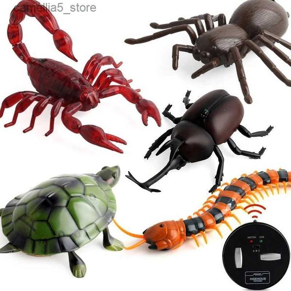 Animaux électriques / RC Nouveauté Infrarouge RC Télécommande Animal Insecte Jouet Kit Enfant Enfants Adultes Cafard Araignée Fourmi Prank Blagues Enfants Jouet Q231114