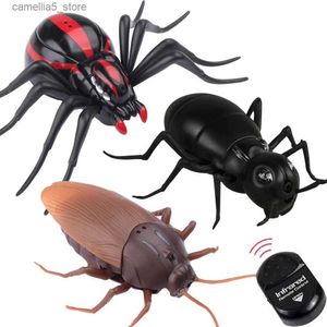 Animaux électriques / RC Nouveauté Télécommande infrarouge Simulation Animal Smart RC Cafard Araignée Fourmi Blagues Radio Insecte Enfants Jouets Cadeau Q231114