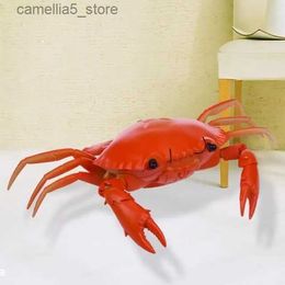 Animaux électriques/RC Télécommande Jouet électrique Modèle animal Simulation Crabe Étrange Nouveau cadeau pour les enfants Prêt à l'emploi Fonctionne sur batterie Éducatif Q231114