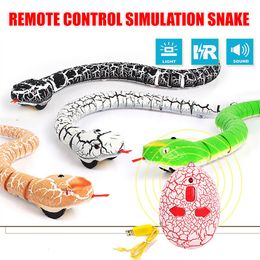 Elektrische RC -dieren afstandsbediening Snake Toy voor Cat Kitten Ei -vormige controller Rattlesnake Interactive Teaser Play RC Game Pet Kid 230818