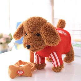 Electricrc Animals 120 Nummers Ancient Poetry Pet Music Plush Toy Dog Walking Smart Machine Leash Children Gift Birthday 230812