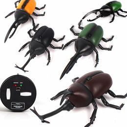 ElectricRC Animals Creative Afstandsbediening Hercules Tricky Electric Simulation RC Insect Model Beetle Children's Halloween Toy for Fun 230807