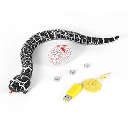 ElectricRC Dieren Nieuwigheid Verrassing Bananasplit RC Machine Speelgoed Afstandsbediening Slang En Ei Infrarood Radio Controller Zeer Simulatie Easy to Go 220914