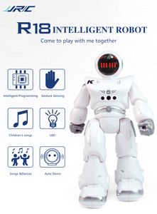 ElectricRC Animals R18 RC Robot Sensing CADY WIDA Intelligent Robo Programing Onderwijs Muziek Dans Robots Auto Follow Gesture Control Toys 230807