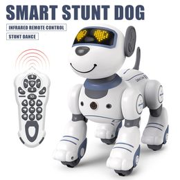 Electricrc Animals RC Robot Dog Programmeerbaar Infrarood Wireless Remote Control Electric Smart Stunt voor kind Intelligent speelgoed Volg huisdier Dier 230417