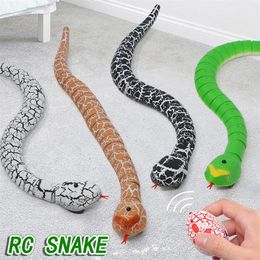 Electricrc Animals RC Snake Toys For Kids Girls Kinderen Remote Control Dieren Elektrische horror Nieuwheid Gags Practical Jokes Prank Boys Toy Robots 220913