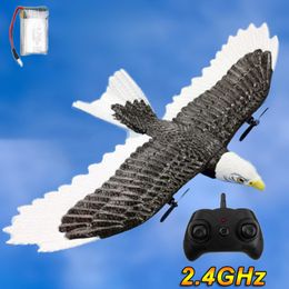 ElectricRC Animaux Wingspan Eagle Aircraft RC Avion Fighter Radio Control Remote Hobby Glider Avion Mousse Garçons Jouets pour Enfants 230807