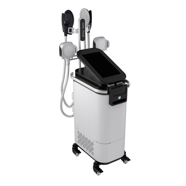 Stimulateur musculaire électronique 2 en 1 Machine à impulsions glacées avec technologie Cryo et réduction des graisses