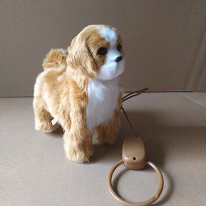 Jouets électroniques pour animaux de compagnie Électronique en peluche Chien Jouet Robot Chat Chanter Chanson Chiot Laisse Contrôle Musique Animal Marche Écorce Électrique Chaton Animal De Compagnie Enfants Cadeau D'anniversaire 230523