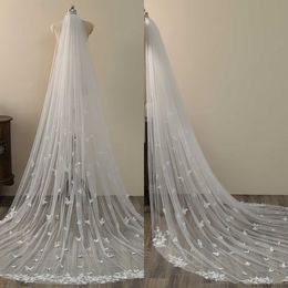Elegante 3D Butterfly Appliques Wedding Veil 3M Lange Special Cut Royal Bridal Veil met kam Veil Wedding Accessories