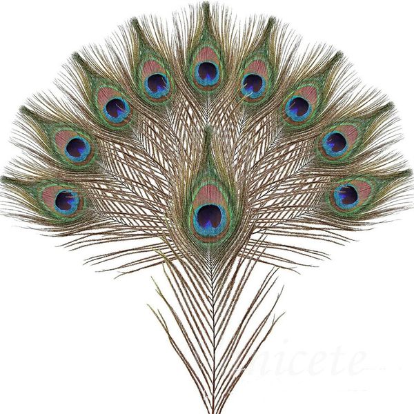 Matériaux décoratifs élégants Plume décorative Belles plumes d'environ 25 à 35 cm Articles fantaisie 4149