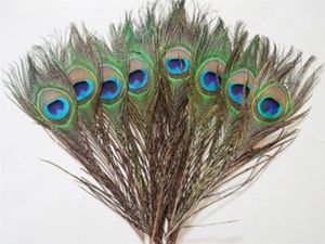 Elegante decoratieve materialen Real Natural Peacock Feather Mooie veren Ongeveer 25 tot 30 cm