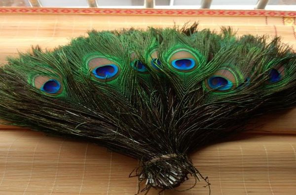 Materiales decorativos elegantes Pluma de pavo real natural real Hermosas plumas de aproximadamente 25 a 30 cm HJ1701696137
