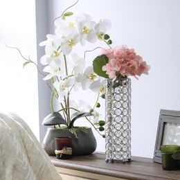 Designs élégants HG1011-chr Vase de fleurs décoratives en cristal Elipse, bougeoir,