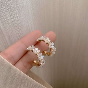 Elegante Sier -naald en elegante zeldzame parel vrouwelijke Instagram -stijl oorbellen Koreaanse lichte oorbellen
