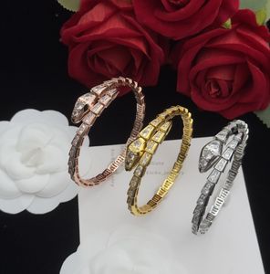 Bracelet élégant au design Viper Serpent, orné de diamants de haute qualité, en deux options de couleurs, cadeau élégant et exquis