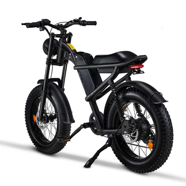 Elektro Velosiped 20 pouces 48V 500W Fatbike Z8 Lady Electric Bicycle avec suspension complète