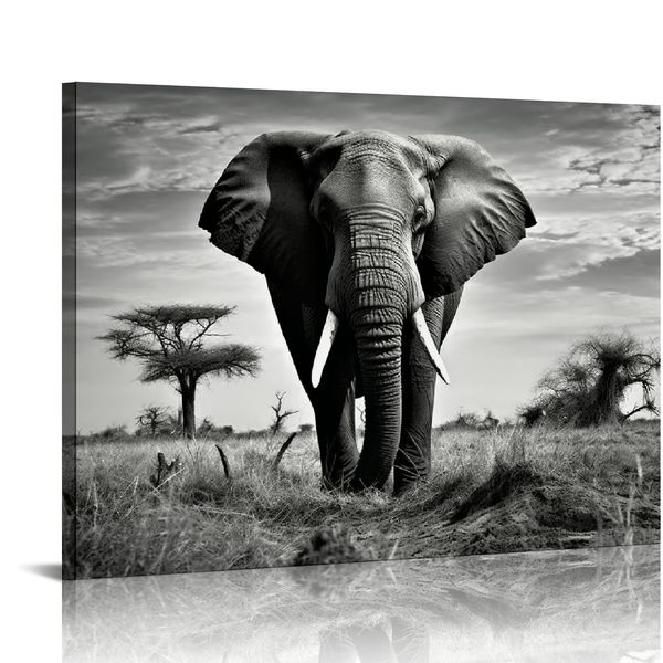 Elephant Black White Wall Art - Rustic Tolevas Painting - African Animal Picture - Oeuvre naturelle pour décor de chambre à coucher de salle de bain