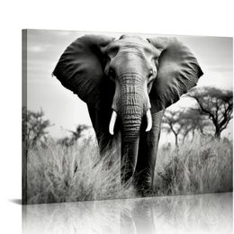 Elephant Picture Canvas Arte de pared: African Wild Animales Wildwork Pintura Impresión para sala de estar