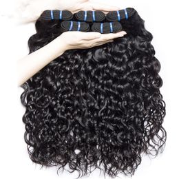 Elibess Hair-Factory Leverancier Water Wave Menselijk Haarbundel 5 Stks 50g / PCs Braziliaanse Non Remy Hair Weave Extention Natural Black