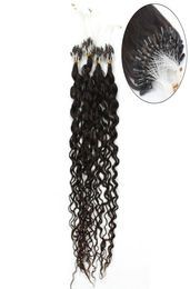 ELIBESS HAIRMicro anneau Extension de cheveux 08gstrand 200 brinslot 1 1B 4 6 couleur vague d'eau boucle Micro anneau Extensions de cheveux 5111201