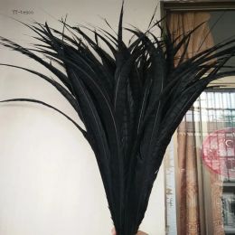Bougosage 10pcs 3640inch / 90100cm Lady Natural Amherst Featan Feather Black Pheasan Plumes pour le carnaval Party Costumes Decoration
