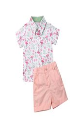 Emmababy 2019 Fashion Summer Toddler Kids Baby Boy Clothes Flamingo Toppants Gentleman Beach Outfits Vêtements 2pcs Set1444177