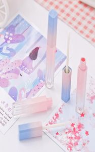 Lege lipglossbuis roze blauwe gradiënt lipglazuur buis diy lippenstift cosmetische verpakkingscontainer 50pcslot5556481