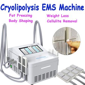 Equipo EMS Forma del cuerpo Reducción de grasa Criolipólisis Congelación de grasa Pérdida de peso Máquina de adelgazamiento