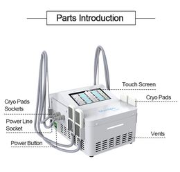 EMS Fat Freeze cryogene cryopreservatie lichaamsvet verminderen machine met cryo spierstimulators bouwen Sport ijs bevroren cryo lipolyse ABS -vormsystemen