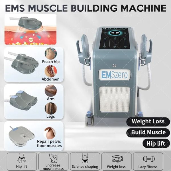 Stimulateur de sculpture musculaire EMS Articles de beauté DLS-EMSlim NEO HIEMT 2/4 poignées avec coussinets de stimulation pelvienne RF Mise en forme facultative de la combustion des graisses EMSzero