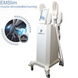 Emslim vetverbranding toon spierlichaam beeldhouwen tesla spieren stimulatie cellulitis afslankmachines 4 handvatten