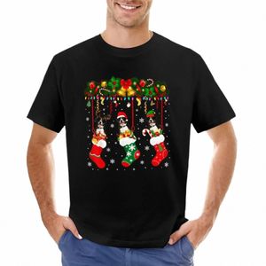 Entlebucher Mountain In Sock Xmas Rendier Kerstman ELF Hond T-Shirt zomer top nieuwe editi sublieme leuke tops heren t-shirts pack Q0F4 #
