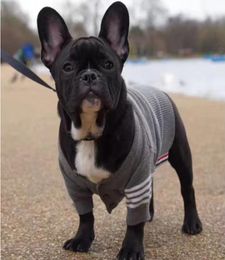 Epack Tripe Stripe chiens de vêtements d'extérieur LETTRE Classic Cous Pet Coats Novelty Chu chiot épais vestes Vestes chauds Ducs Down Clothes Winter Clo1627504