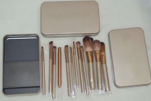 Livraison gratuite ePacket Nouveaux pinceaux de maquillage NO: 3 Pinceau 12 pièces avec boîte en fer!