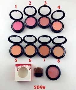 Epacket de livraison gratuite! Nouveau maquillage N ° de visage: 509 Valentine's Diary Powder Blush! 8 couleurs différentes 333