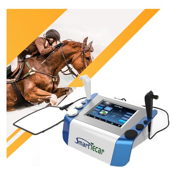 ÉQUINE 448KHZ Thérapie TECAR RF DEAT DIATHERMY MACHINE CET Ret Rehabilitateur pour animaux de compagnie Horses Cat Cat Vet Phyiotherapy Equipment