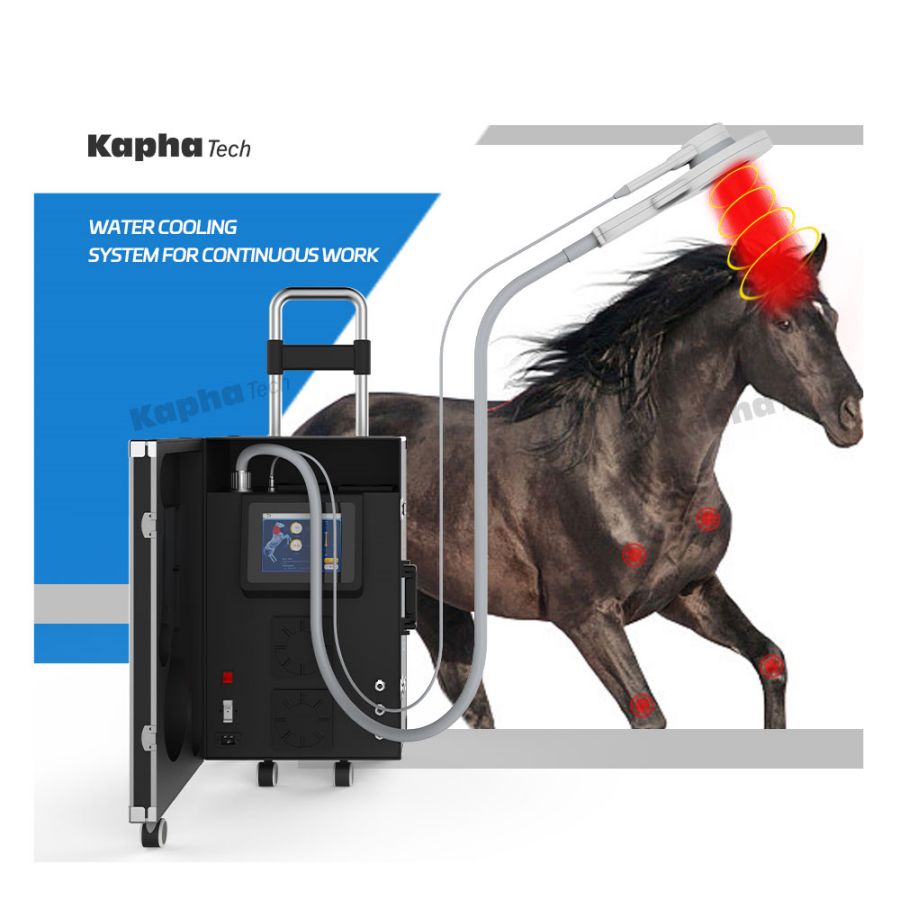 Конная петля PEMF для лошадей Магнитная терапия Обеспечение лечения физиотерапевтического оборудования