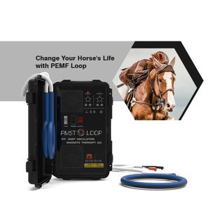 Equine Loop PEMF Magna Wave voor herstel van paardenletsel Magnetische revalidatiemachine