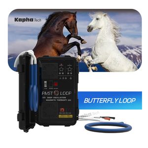 Equine PEMF gepulseerde elektromagnetische veldtherapie PMST LOOP voor de gezondheid van paarden