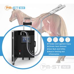 Paarden PEMF-therapie Pijnvermindering Magnetisch veld Fysiotherapiemachine voor paarden